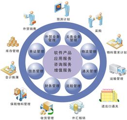 NetSuite 解決傳統計算機系統服務無法觸及的痛點